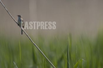 EA089345, Eastpress, Porvoo, Suomi